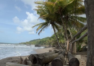 Guesthousetoco Beach 1391 6