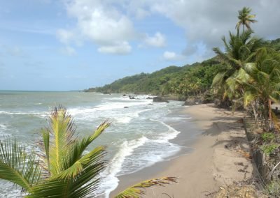 Guesthousetoco Beach 1413 2