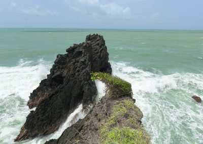 Guesthousetoco Ocean View 1